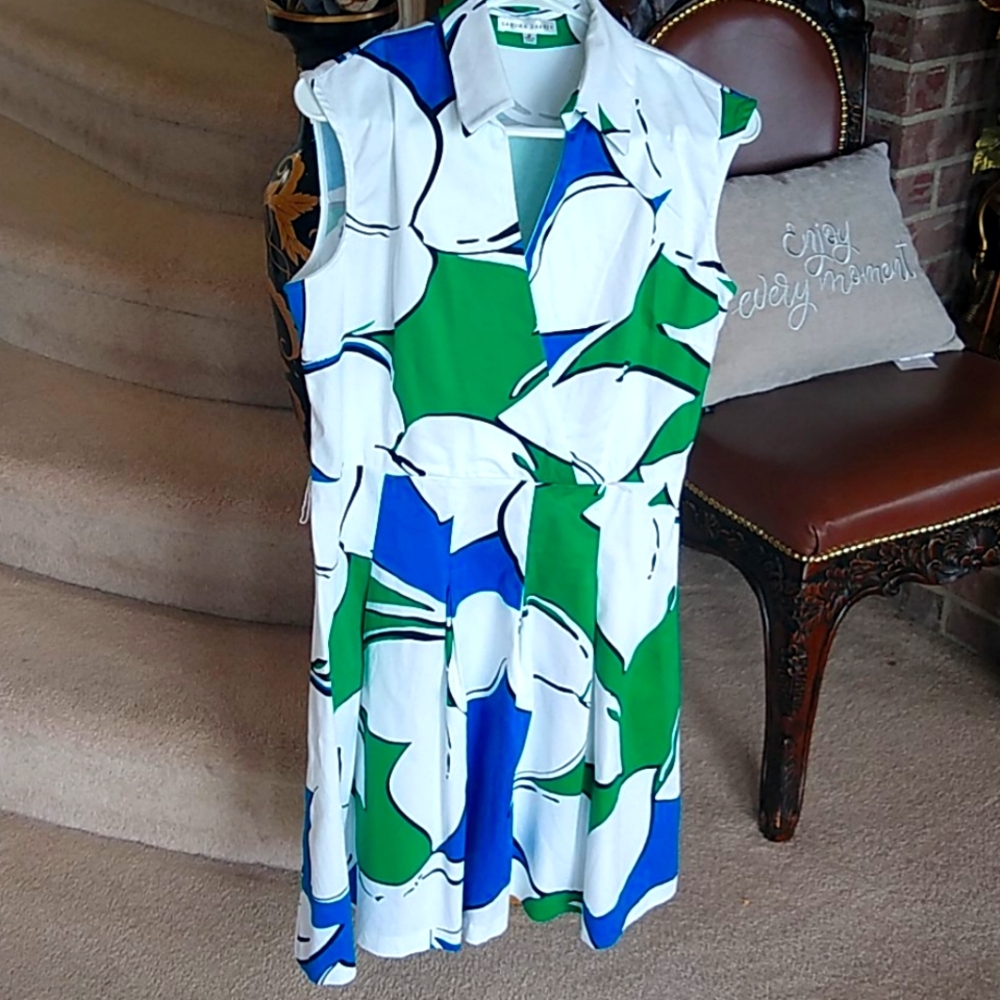 Sandra Darren mult color dress